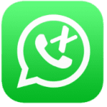 WhatsApp X icon