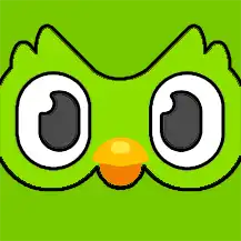 Duolingo icon