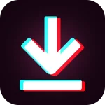 TikTok Downloader 