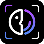 FaceFancy   icon