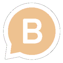 Dodi WhatsApp Business icon
